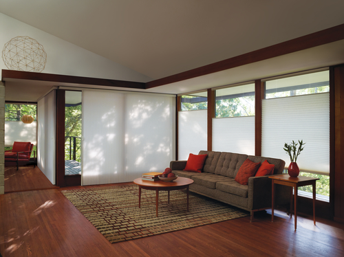 Duette® Honeycomb Shades in the Living Room