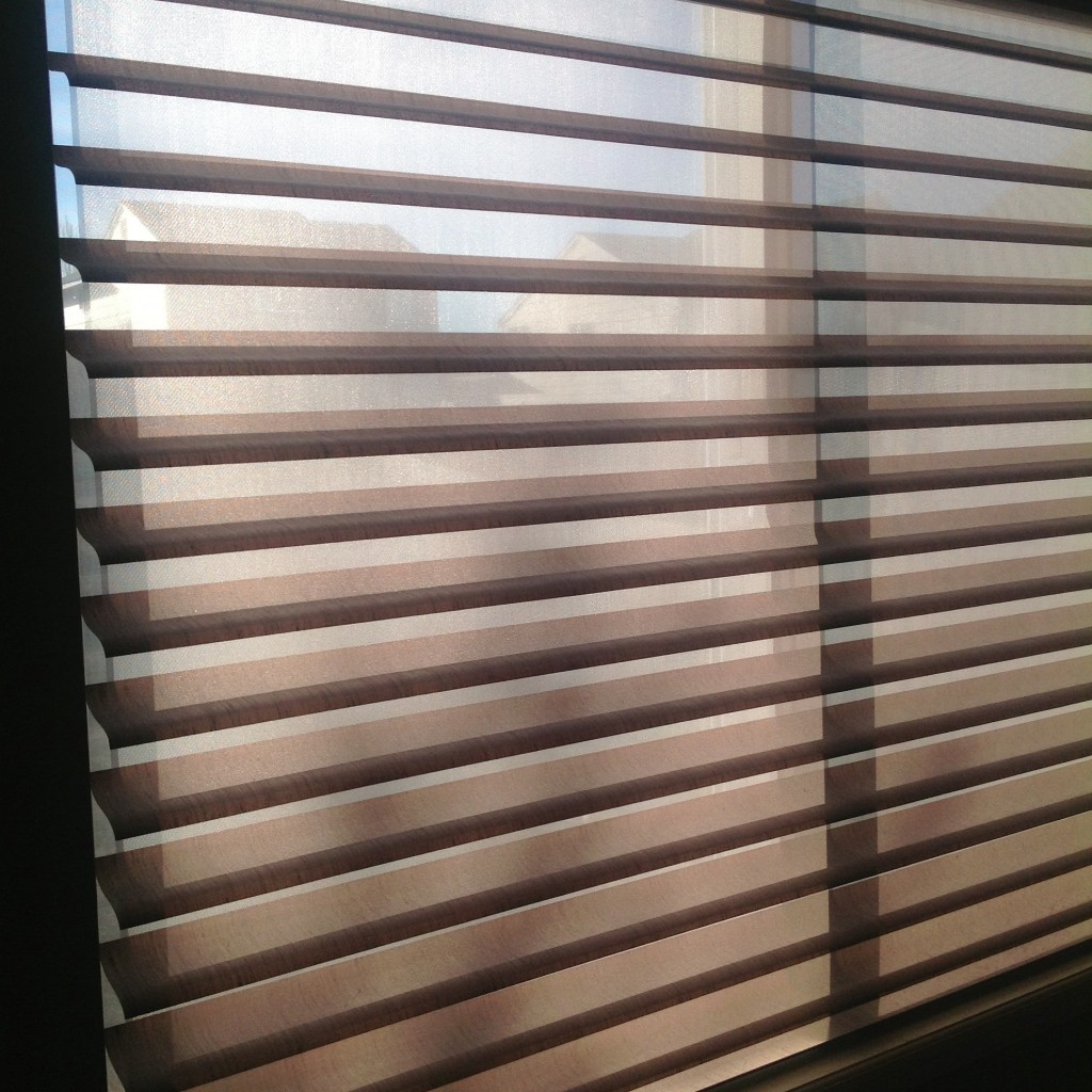 Silhouette Window Shadings