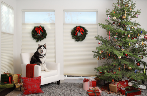 Window Coverings for Homes With Pets