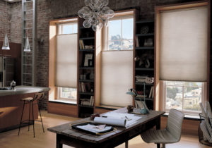 Duette® Honeycomb Shades in the Office