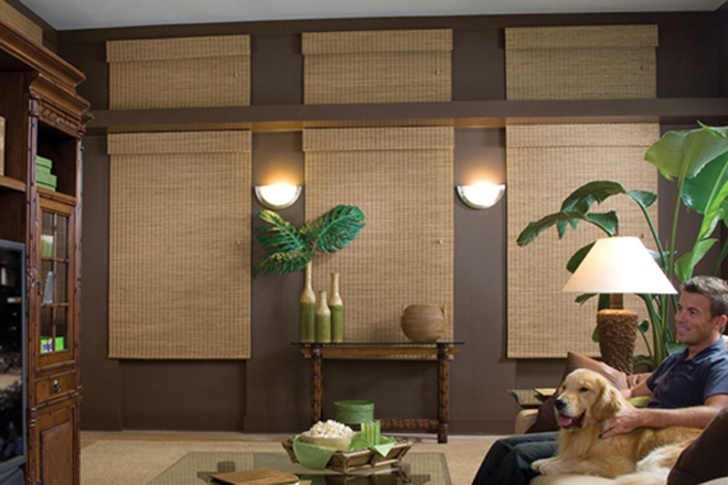 Proveance® Woven Wood Shades in the Living Room