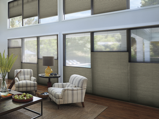 Are Honeycomb Shades for You?