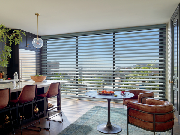 Pirouette® Window Shadings with Clearview